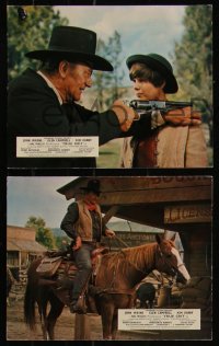7k0024 TRUE GRIT 8 color English FOH LCs 1969 John Wayne as Rooster Cogburn, Kim Darby, Campbell!