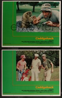 7k0405 CADDYSHACK 8 int'l LCs 1980 Chevy Chase, Bill Murray, Dangerfield, Cindy Morgan, golf classic!