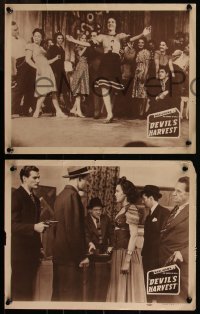 7k0813 DEVIL'S HARVEST 3 LCs R1940s great wacky image of crazed teens after smoking marijuana!