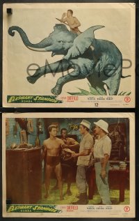 7k0433 ELEPHANT STAMPEDE 8 LCs 1951 great images of Johnny Sheffield as Bomba the Jungle Boy!