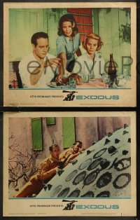 7k0436 EXODUS 8 LCs 1961 Otto Preminger, Paul Newman, Eva Marie Saint, Sal Mineo, Jill Haworth!