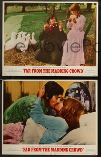 7k0628 FAR FROM THE MADDING CROWD 6 LCs 1968 Julie Christie, Terence Stamp, Peter Finch!