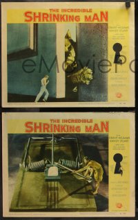 7k0830 INCREDIBLE SHRINKING MAN 3 LCs 1957 classic sci-fi, Williams, cool special effects images!
