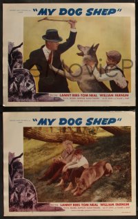 7k0599 MY DOG SHEP 7 LCs 1946 boy and his German Shepherd, adventure & romance roam the road!