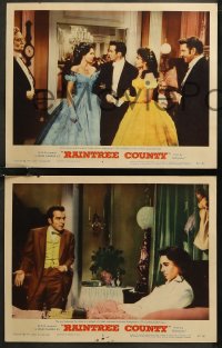 7k0606 RAINTREE COUNTY 7 LCs 1957 beautiful Elizabeth Taylor, Montgomery Clift, Eva Marie Saint!
