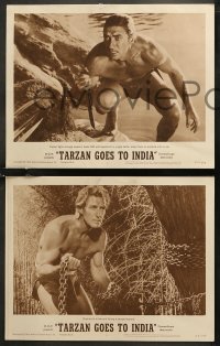 7k0561 TARZAN GOES TO INDIA 8 LCs 1962 great images of Jock Mahoney as the King of the Jungle!