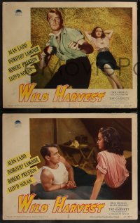 7k0614 WILD HARVEST 7 LCs 1947 great images of Alan Ladd, sexy Dorothy Lamour, Robert Preston!
