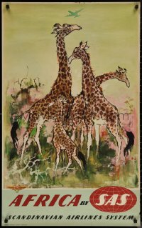 7m0069 SAS AFRICA 24x39 Danish travel poster 1950s great Otto Nielsen wildlife art of giraffes!