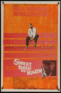 7p0913 SWEET BIRD OF YOUTH 1sh 1962 Paul Newman, Geraldine Page, from Tennessee Williams' play!