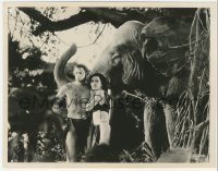 7r0506 TARZAN & HIS MATE 8.25x10 still 1934 Johnny Weissmuller & Maureen O'Sullivan by elephant!