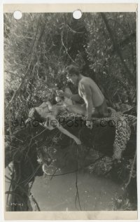 7r0508 TARZAN THE APE MAN 6x10 key book still 1932 Weissmuller feeding Maureen O'Sullivan in tree!