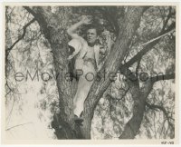 7r0574 WHERE EAST IS EAST 7.75x9.75 still 1929 Lon Chaney Sr. climbing tree, Tod Browning directed!