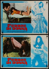 7t0749 HEAT group of 8 Italian 18x26 pbustas 1976 there is nothing hotter than sexy Isabel Sarli!