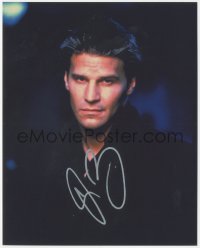 7w0882 DAVID BOREANAZ signed color 8x10 REPRO still 2000s close up of the handsome TV star!