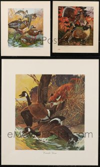 7z0088 LOT OF 3 UNFOLDED LYNN BOGUE HUNT ART PRINTS 1910s-1960s art of ducks, geese & pheasant!