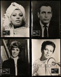 7z0087 LOT OF 4 GERMAN UNIVERSAL 15.5X19.5 OVERSIZE PHOTOS 1960s Sophia Loren, Paul Newman & more!