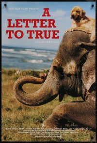 8a0230 LETTER TO TRUE 24x36 special poster 2004 Bruce Weber, cool image of dog sitting on elephant!