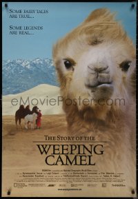 8a1126 STORY OF THE WEEPING CAMEL 1sh 2004 cool image of the desert's favorite animal!