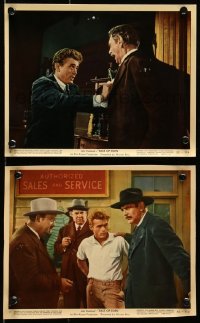 8g0503 EAST OF EDEN 2 color 8x10 stills 1955 first James Dean, Ives, Massey, directed by Elia Kazan!