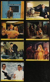 8g0479 EVERYTHING YOU ALWAYS WANTED TO KNOW ABOUT SEX 7 8x10 mini LCs 1972 Allen, Gene Wilder w/sheep!