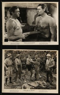 8g0419 TARZAN & THE AMAZONS 2 8x10 stills 1945 great images of barechested Johnny Weissmuller!