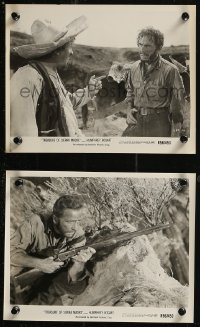 8g0426 TREASURE OF THE SIERRA MADRE 2 8x10 stills R1956 Humphrey Bogart, John Huston classic!