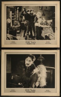 8g1246 TIGER'S CUB 2 LCs 1920 great images of silent actress Pearl White, Thomas Carrigan!