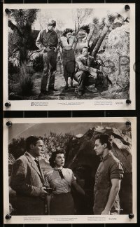 8g0253 IT CAME FROM OUTER SPACE 4 8x10 stills 1953 Jack Arnold classic 3-D sci-fi, great images!
