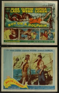 8g0600 BOY ON A DOLPHIN 8 LCs 1957 great images of scuba divers Alan Ladd & sexiest Sophia Loren!