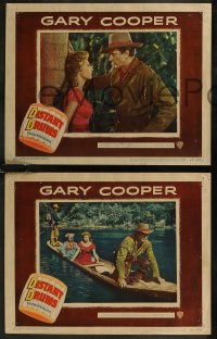 8g0637 DISTANT DRUMS 8 LCs 1951 Gary Cooper in the Florida Everglades, directed by Raoul Walsh!