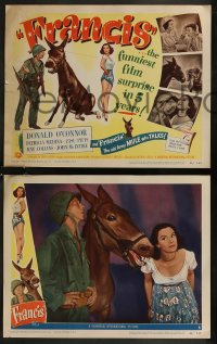 8g0661 FRANCIS THE TALKING MULE 8 LCs 1949 images of Donald O'Connor, Patricia Medina & the donkey!