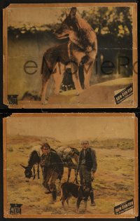 8g1081 LONE DEFENDER 3 LCs 1934 w/ best image ever of German Shepherd dog hero Rin-Tin-Tin!