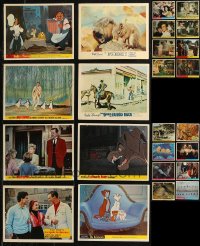 8h0394 LOT OF 27 WALT DISNEY COLOR ENGLISH FRONT OF HOUSE LOBBY CARDS 1950s-1970s animated & live!