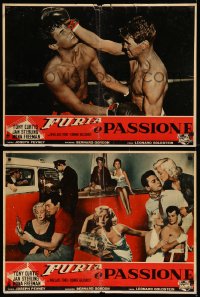 8j0828 FLESH & FURY group of 9 Italian 20x27 pbustas 1952 boxer Tony Curtis, boxing love triangle!