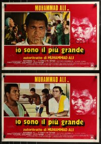 8j0855 GREATEST group of 8 Italian 18x26 pbustas 1977 heavyweight boxing champ Muhammad Ali!