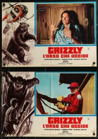 8j0985 GRIZZLY group of 4 Italian 18x26 pbustas 1976 art of grizzly bear attacking chopper, man!