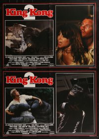 8j0864 KING KONG LIVES group of 8 Italian 19x26 pbustas 1986 Kerwin, Hamilton, images of huge ape!