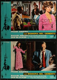 8j0975 LADY IN CEMENT group of 5 Italian 18x27 pbustas 1968 Sinatra with a .45 & Welch w/ a 37-22-35!