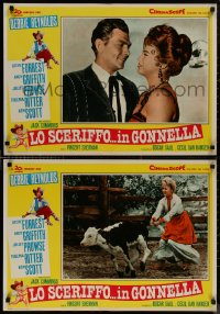 8j0762 SECOND TIME AROUND group of 12 Italian 20x28 pbustas 1962 Debbie Reynolds, Andy Griffith!