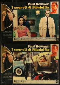 8j0962 YOUNG PHILADELPHIANS group of 6 Italian 19x27 pbustas 1959 lawyer Paul Newman, Brian Keith!