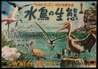 8j0600 WATER BIRDS Japanese 14x20 1953 different avian art, Disney True Life Adventure!