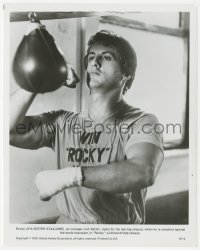 8k0368 ROCKY 8x0.25 still 1977 overage boxer Sylvester Stallone trains for his last chance!