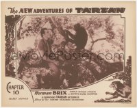 8k1098 NEW ADVENTURES OF TARZAN chapter 10 LC 1935 Bruce Bennett in tree with chimp, Secret Signals!