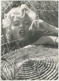 8m0257 JAYNE MANSFIELD deluxe English 8.5x12 news photo 1950s Monroe-like sun bather by Woodfield!