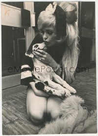 8m0259 JAYNE MANSFIELD deluxe English 8.25x11.75 news photo 1967 wooing new doggy friend by Goldblatt!