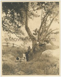 8m0321 YOUNG MR. LINCOLN deluxe 11x14 still 1939 Henry Fonda reading book under tree, John Ford!