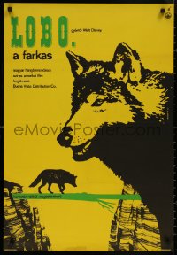 8p0410 LEGEND OF LOBO Hungarian 22x33 1965 Walt Disney, King of the Wolfpack, Muray artwork of wolf!