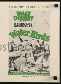 8r0652 WATER BIRDS pressbook 1952 Walt Disney True Life Adventure, Pelicans & other avians!