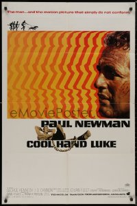 8w0807 COOL HAND LUKE 1sh 1967 prisoner Paul Newman refuses to conform, cool art by James Bama!