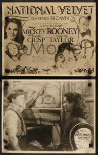 8w0030 NATIONAL VELVET 8 Aust LCs 1944 Elizabeth Taylor & Mickey Rooney classic, ultra rare!
